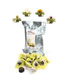 Creano Blooming Tea - 36 Tea Balls | Tealini White Tea Large Pack | Bulk Flowering Tea for Tar Lunches - Premium Quality International Shipping - Buy Online on GoSupps.com