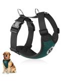 Slowton Dog Harness - No Pull Safety Harness for Small & Medium Dogs - Soft Padded Breathable XXXS Green - Ultimate Comfort & Control - Buy Online on GoSupps.com