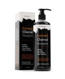 Sulfate Free Activated Charcoal Shampoo - Detox Clarify & Volumize with Organic Argan & Avocado 16oz International Shipping - Buy Online on GoSupps.com