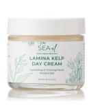 Lamina Sea Kelp Day Cream - Hydrating Anti-Aging Moisturizer for Dry Skin | Organic 2 Oz | Unisex Glow  - Buy Online on GoSupps.com