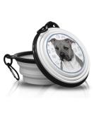 Pitbull Portable Foldable Drinking Bowl with Carabiner | On-the-Go Pet & Food Bowl - Handy & Unique - Buy Online on GoSupps.com