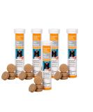 Alfavet Dia Tube - 5 Pack | Supplementary Feed for Dogs & Cats | Aids Diarrhea Relief | 5 x 12 x 5.5g - Buy Online on GoSupps.com