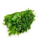veenas Fresh Curry Leaves | Natural Curry Leaves | Aromatic Leaves | Indian herb | Fresh Leaf | Used for Giving Extra Aroma | for Indian & Sri Lankan Cuisine | Indian Origin | Approx 20G - Buy Online on GoSupps.com