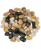 Virekm River Rocks Decorative Ornamental Pebbles Garden Landscaping Stones Gravel Filler for Home Decoration Flower Bed Fish Tank Plants Vases Succulents 1 Pound mixed color - Buy Online on GoSupps.com