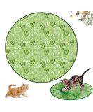 Shengruili Interactive Hunting Cat Toys - Stimulating Play Carpet & Training Mat for Cats | B-Z-Green - Buy Online on GoSupps.com