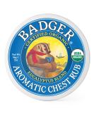 Badger Aromatic Chest Rub - Eucalyptus & Mint 2 oz | Soothing Relief - Buy Online on GoSupps.com