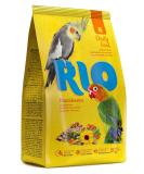 RIO complete food for large parakeets 500 g - Buy Online on GoSupps.com