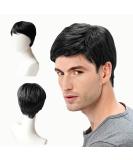 EUPSIIU Short Black Mens Wig Costume Wigs for Men Synthetic Mens Wigs for Daily Use Costume Wigs Straight Wig for Men Fancy Dress Cosplay Halloween Handsome Men's Daily Costume (Black) - Buy Online on GoSupps.com