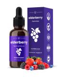 Black Elderberry Syrup 2000mg Extract | Antioxidant Drops for Immune Support | Sugar-Free Liquid Elderberry Extract 2oz | Berry Flavor - Buy Online on GoSupps.com