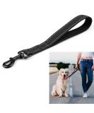 Short Dog Leash with Padded Handle | Reflective Nylon for All Dog Sizes | 32cm Training Leash - Buy Online on GoSupps.com