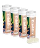 Buy Drinklits Ginger-Lime Daily Hydration Tablets - 0g Sugar Electrolytes Travel Essential (Pack of 4) - Organic Ginger 40 Count - Buy Online on GoSupps.com