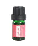 Eucalyptus Essential Oil | 100% USDA Organic | Therapeutic Grade for Massage Diffuser & Henna - 0.16 Fl Oz - Buy Online on GoSupps.com