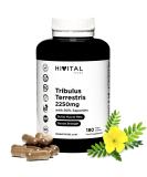 Tribulus Terrestris 2250 mg |180 vegan capsules |100% naturally with 90% saponins |Increases testosterone muscle mass strength endurance and energy and helps with muscle regeneration - Buy Online on GoSupps.com