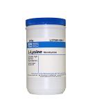 Buy RPI L37050-100.0 L-Lysine Monohydrate 100g - Premium Quality Amino Acid Supplement for Muscle Health and Immune Support - Fast International Shipping - Buy Online on GoSupps.com