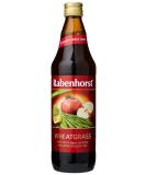 Rabenhorst Organic Wheatgrass Cocktail 750 ml - Buy Online on GoSupps.com