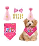4-Piece Pet Birthday Party Supplies | Dog Triangle Scarf Hat & Gold Pink Decorations for Small Medium & Large Pets - Buy Online on GoSupps.com