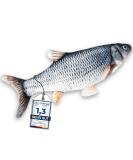 Pettec interactive cat toys electrically for self -employment - movable fidget fish for cats with catnip - fish - Interactive Cat Toy - toys toys - Buy Online on GoSupps.com