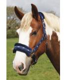 Rhinegold logo halter with fleece trim blue pony - Buy Online on GoSupps.com