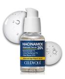 Niacinamide 20% Vegan Face Serum - Vitamin B3 Green Tea & Damask Rose for Even Skin Tone & Pore Minimization - 1 Fl Oz - Buy Online on GoSupps.com