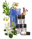 Floral Essential Oils Set (6x10 ml) - Aromatherapy Starter Kit for Diffusers & Candle Making - Osmanthus Honeysuckle Chamomile Jasmine Marjoram Gardenia - Buy Online on GoSupps.com