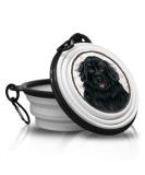 NEWFOUNDLAND Portable Foldable Pet Bowl with Carabiner - Perfect for Travel & On-the-Go Feeding - Buy Online on GoSupps.com