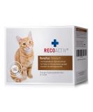 RECACACTIV Renaltan Tonic for Cats - 3 x 90 ml | Supports Kidney Function & Reduces Phosphate Levels | International Shipping Available - Buy Online on GoSupps.com