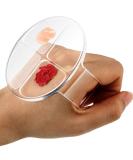 2-Piece Clear Hand-Held Makeup Mixing Palette for Foundation and Nail Art | Manicure & Makeup Tool - Buy Online on GoSupps.com