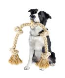 XL Indestructible Dog Rope Toy for Large Dogs - 35 Inch Vivifying Rope Dog Toy for Aggressive Chewers - Buy Online on GoSupps.com