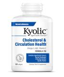 Kyolic Aged Garlic Extract Formula 150 for Cholesterol & Circulation Health with Omega-3 - 180 Soft Gels (Pack of 1) - Buy Online on GoSupps.com