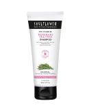 Soulflower Rosemary Shampoo for Hair Growth | Anti Hair Fall | Stronger Shiny Hair & Healthy Scalp with Tea Tree & Pro Vitamin B5 - 6.77 fl oz - Buy Online on GoSupps.com