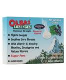 Olbas Sugarless Currant Lozenges 24 Ea (2-Pack) - Soothing Natural Relief - Buy Online on GoSupps.com