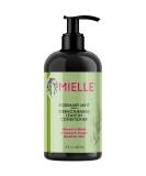 Mielle Organics Rosemary Mint Strengthening Leave-In Conditioner, Supports Hair Strength, Smooth Conditioner for Dry and Crinkled Hair, Weightless Hair Treatment - Buy Online on GoSupps.com