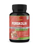 Forskolin Extract Capsules 5000mg - 5 Month Supply | With Turmeric, Arjuna, Garcinia Cambogia & Green Tea | Nourishing Diet Support and Energy Booster - Buy Online on GoSupps.com