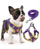 Rennaio No Pull Dog Harness & Adjustable Puppy Dishes Set - Ultra Comfortable Leash for Small & Medium Dogs (Purple Size S) - Buy Online on GoSupps.com