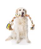 Nobleza 100% Cotton Dog Toy Rope - Enhance Mental & Dental Health for All Dogs (Beige & Braun 68cm) - Buy Online on GoSupps.com