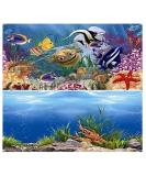 Hidom Aquarium Background Poster Double Sided - Height 19" / 50cm - Length 3 FT / 92cm - Two Scenic Pictures displaying Aquatic Backdrops - DS 500-9093/9094-3 3 FT (92cm) - Buy Online on GoSupps.com
