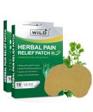 WILD+ Knee Patches for Pain Relief 20PCS Upgraded Large Herbal Knee Pain Relief Patches Joint Pain Relief Pads Long Lasting Warming Knee Plasters Pain Relieving for Neck/Back/Knee/Shoulder Pain 20 PCS - Buy Online on GoSupps.com