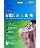 Great Lakes Wholesale Heat Pain Patch 2Ct - Fast Relief for Aches & Pains | Health Products - Buy Online on GoSupps.com