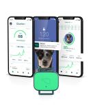 Whistle Health Smart Device for Dogs | Fitness & Activity Tracker - Green - Buy Online on GoSupps.com