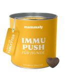 Mammaly Immu Push Snack - Nutritional Supplements & Vitamins for Dogs | 90 Count Dietary Supplement for Immune Support - Buy Online on GoSupps.com