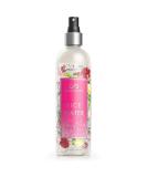 Hairfinity Rice Water Hair Mist - Silicone & Sulfate Free Growth Formula - Best for Damaged, Dry, Curly or Frizzy Hair - Thickening for Thin Hair, Safe for Keratin and Color Treated Hair 8oz - Buy Online on GoSupps.com