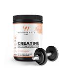 Buy Pure Creatine Monohydrate - International Shipping & Best Prices | Premium Quality Supplement - Buy Online on GoSupps.com