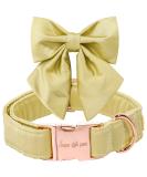Shop Unique Yellow Silk Dog Collar - Durable & Stylish for Large Dogs | Wedding & Special Events - Buy Online on GoSupps.com