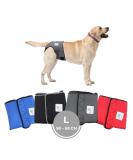 Sailing Trousers for Dogs 2.0 - High-Quality Neoprene Diapers for Males - Optimal Air Exchange No Threading - Size L Gray - Buy Online on GoSupps.com
