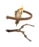 Allazone U Form Natural Bird Pole - Wooden Bird Toys & Accessories for Cages | Climbing & Grinding Sticks Set - Buy Online on GoSupps.com