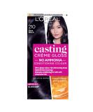 LOr al Paris Ammonia-Free 210 Blue Black Semi-Permanent Hair Dye | Glossy & Natural Finish | Up to 28 Shampoos | 1 Application - Buy Online on GoSupps.com