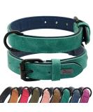 Didog Soft Padded Leather Dog Collar for Medium & Large Dogs - Adjustable Durable Rust-Free Buckle Green (M: 27-33 cm) - Buy Online on GoSupps.com