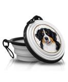 Berner Foldable Portable Drinking Bowl with Carabiner - Ideal Travel Pet & Food Bowl - Buy Online on GoSupps.com