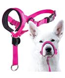 GoodBoy Halter for Dogs - Pink Nylon with Black Padding - 2 Piece Set | International Shipping Available - Buy Online on GoSupps.com