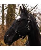 Premium Horse Delinis Halter for Warmbloods Thoroughbreds & Ponies | Adjustable Safe & Tear-Resistant - Black - Buy Online on GoSupps.com
